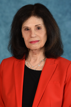 Suzanne Darrow-Kleinhaus Headshot of Professor Suzanne Darrow-Kleinhaus