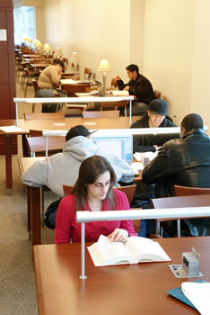 Student Studying in the Library