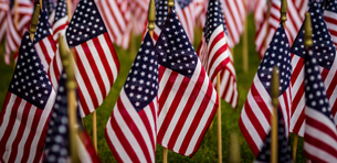 Touro Law Center Receives $125,000 New York State Grant to Expand Veterans' and Servicemembers' Rights Clinic Logo